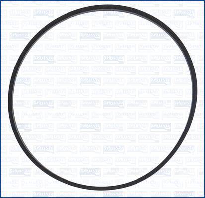 Ajusa 24044400 - Garnitura, ventil AGR aaoparts.ro