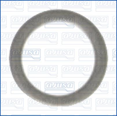 Ajusa 22002200 - Inel de etansare aaoparts.ro