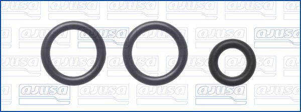 Ajusa 77076000 - Garnitura, racord admisie combustibil aaoparts.ro