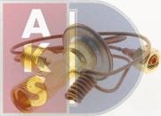 AKS Dasis 840006N - Supapa expansiune, clima aaoparts.ro