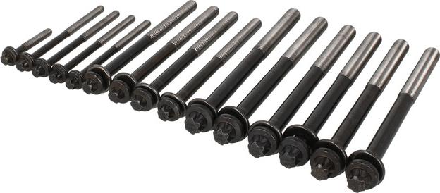 AMC 258546 - Set surub, chiulasa aaoparts.ro