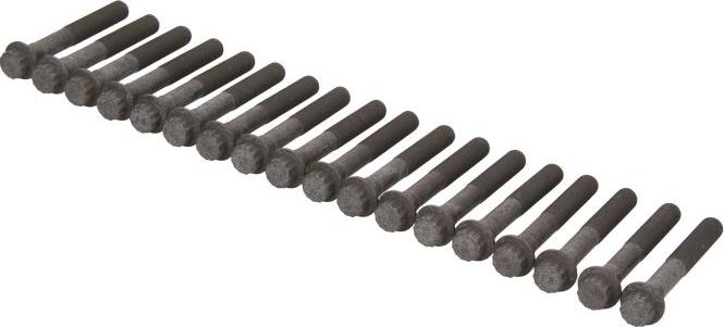 AMC 258519 - Set surub, chiulasa aaoparts.ro