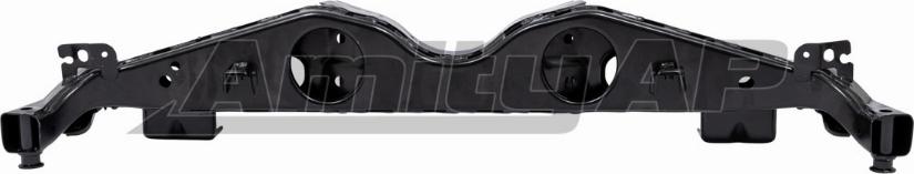 Amity AP 10-SF-0004 - Corp ax aaoparts.ro