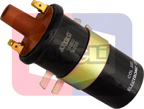 Angli 15002 - Bobina de inductie aaoparts.ro