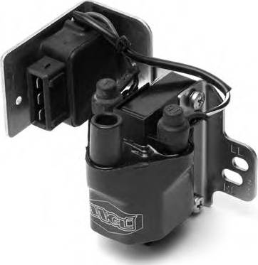 Angli 16088 - Bobina de inductie aaoparts.ro
