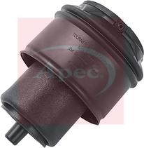 APEC AAS1071 - Arc pneumatic, directie aaoparts.ro