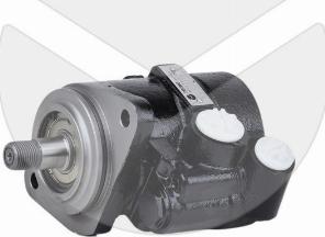 APSRemaGermany 382151 - Pompa hidraulica, sistem de directie aaoparts.ro