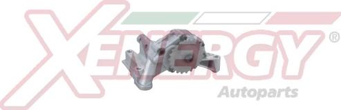 AP XENERGY X251188 - Pompa ulei aaoparts.ro