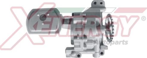 AP XENERGY X251348 - Pompa ulei aaoparts.ro