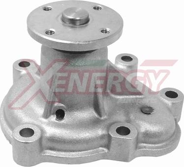 AP XENERGY X204282 - Pompa apa aaoparts.ro