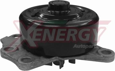 AP XENERGY X205842 - Pompa apa aaoparts.ro