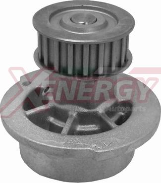 AP XENERGY X204580 - Pompa apa aaoparts.ro