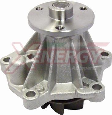 AP XENERGY X208046 - Pompa apa aaoparts.ro