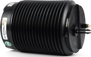 Arnott A-3307 - Arc pneumatic, directie aaoparts.ro