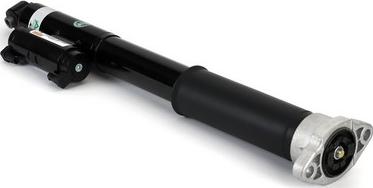 Arnott SK-3389 - Amortizor aaoparts.ro