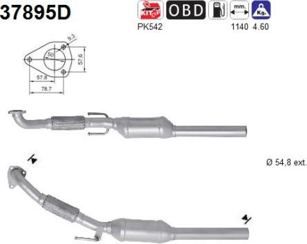 AS 37895D - Catalizator aaoparts.ro