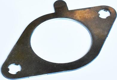 ASAM 55569 - Garnitura, racord evacuare aaoparts.ro