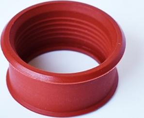 ASAM 55668 - Furtun aer supraalimentare aaoparts.ro