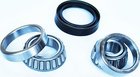 ASAM 55616 - Set rulment roata aaoparts.ro