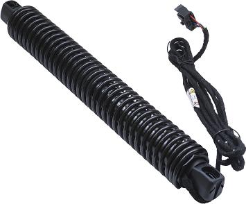 ASAM 100184 - Amortizor portbagaj aaoparts.ro