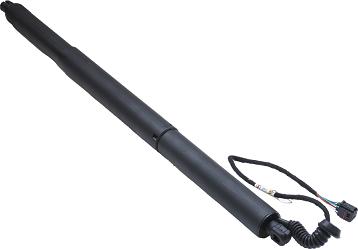 ASAM 100180 - Amortizor portbagaj aaoparts.ro