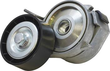 ASAM 101293 - Intinzator curea, curea distributie aaoparts.ro
