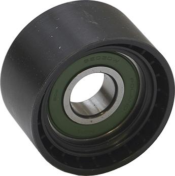 ASAM 101274 - Rola ghidare / conducere, curea transmisie aaoparts.ro