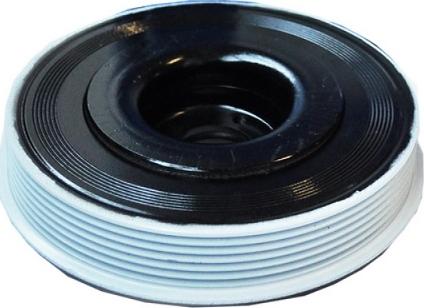 ASAM 80291 - Fulie curea, arbore cotit aaoparts.ro