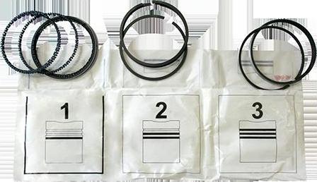 ASAM 30639 - Set segmenti piston aaoparts.ro