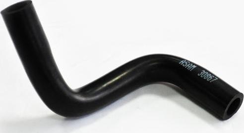 ASAM 30867 - Palnie, filtru de aer aaoparts.ro