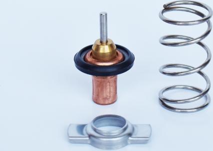 ASAM 33919 - Termostat,lichid racire aaoparts.ro