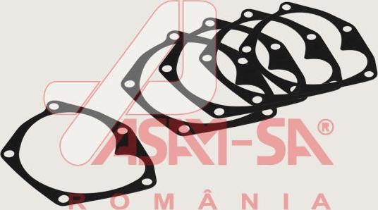 ASAM 32221 - Garnitura, pompa de apa aaoparts.ro