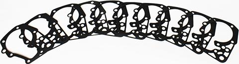 ASAM 79289 - Garnitura, pompa de apa aaoparts.ro