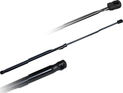 ASAM 79746 - Amortizor portbagaj aaoparts.ro