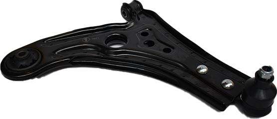 ASAM 76789 - Brat, suspensie roata aaoparts.ro