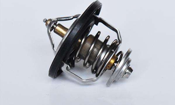 ASAM 73397 - Termostat,lichid racire aaoparts.ro