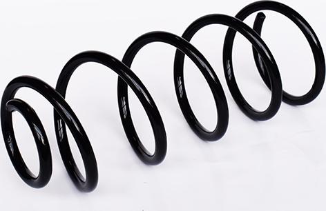 ASAM 73752 - Arc spiral aaoparts.ro