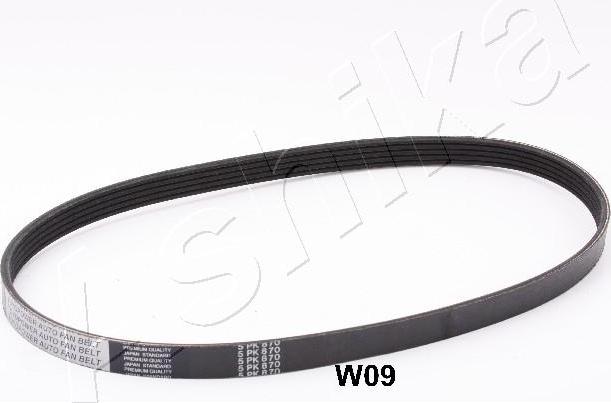 Ashika 96-0W-W09 - Curea transmisie cu caneluri aaoparts.ro