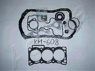 Ashika 49-06-608 - Set garnituri complet, motor aaoparts.ro