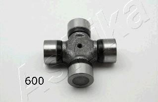 Ashika 66-06-600 - Articulatie, cardan aaoparts.ro