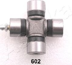 Ashika 66-06-602 - Articulatie, cardan aaoparts.ro