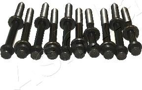 Ashika 115-05-501 - Surub chiulasa aaoparts.ro