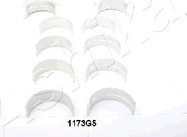Ashika 86-1173G5 - Set rulemt arbore cotit aaoparts.ro