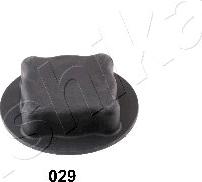 Ashika 33-00-029 - Buson,radiator aaoparts.ro