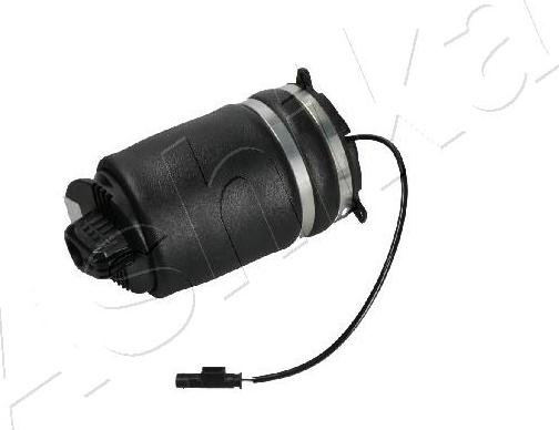 Ashika MA-AS146 - Arc pneumatic, directie aaoparts.ro