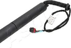 Ashika ZA-0014 - Amortizor portbagaj aaoparts.ro