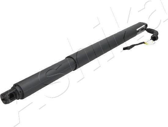 Ashika ZA-0114 - Amortizor portbagaj aaoparts.ro