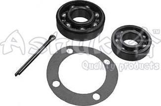 Ashuki 1413-3106 - Set rulment roata aaoparts.ro