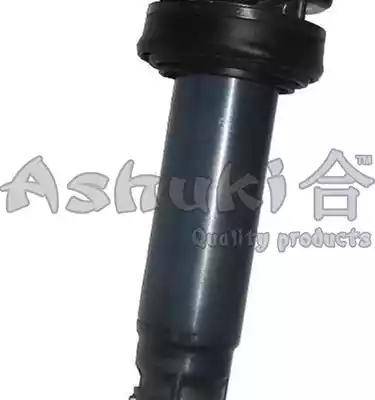 Ashuki D980-01 - Bobina de inductie aaoparts.ro