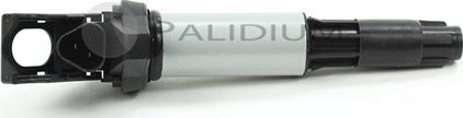 Ashuki PAL15-0014 - Bobina de inductie aaoparts.ro